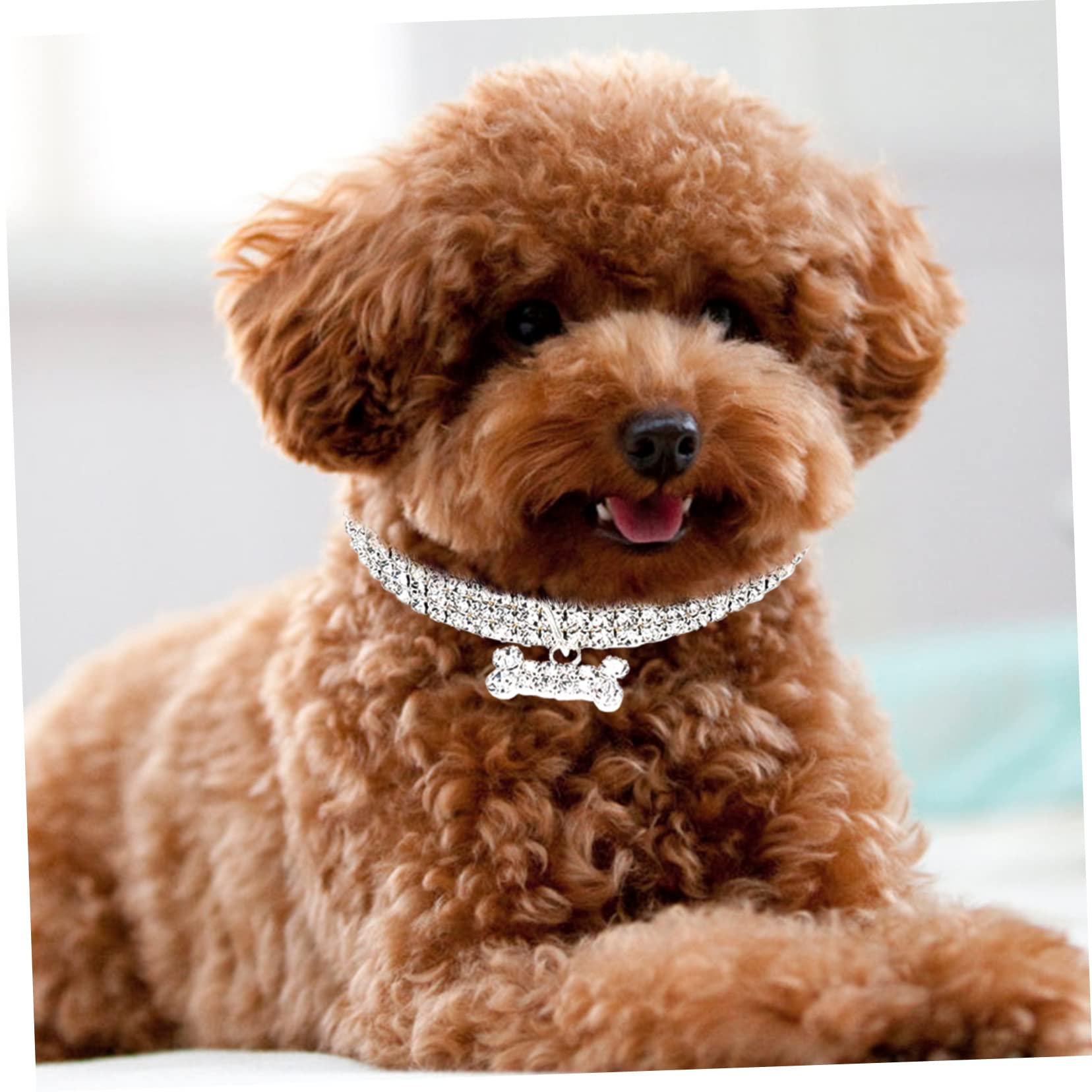 Sosoport 9 Pz collare per animali domestici gioielli per per cani collane d'argento gatto collana arredamento collare per cani fornitura di gatti elastico Accessori corda decorare