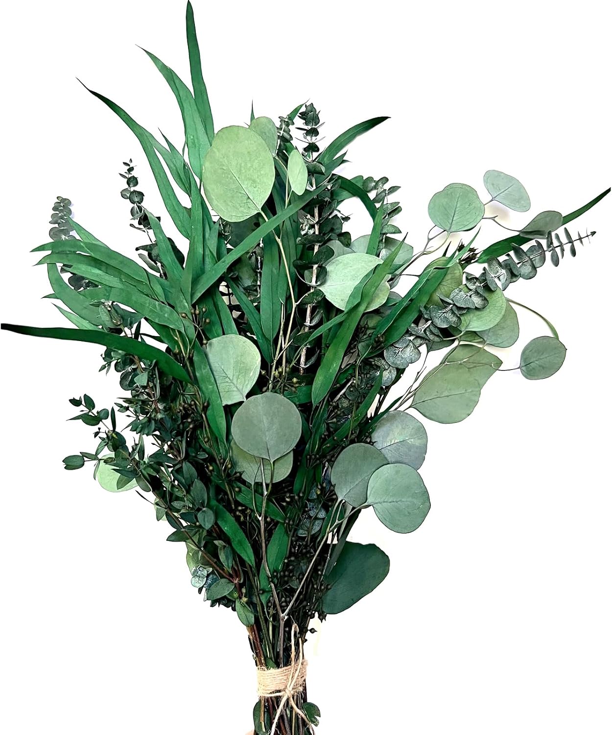 22 PCS Dried Eucalyptus for Shower Bundle, 17'' Real Large Preserved Eucalyptus Stems Shower Plants for Hanging, Fresh Eucalyptus Leaves, Fragrance, DIY Artificial Plant, Home SPA Bathroom Vase decor.