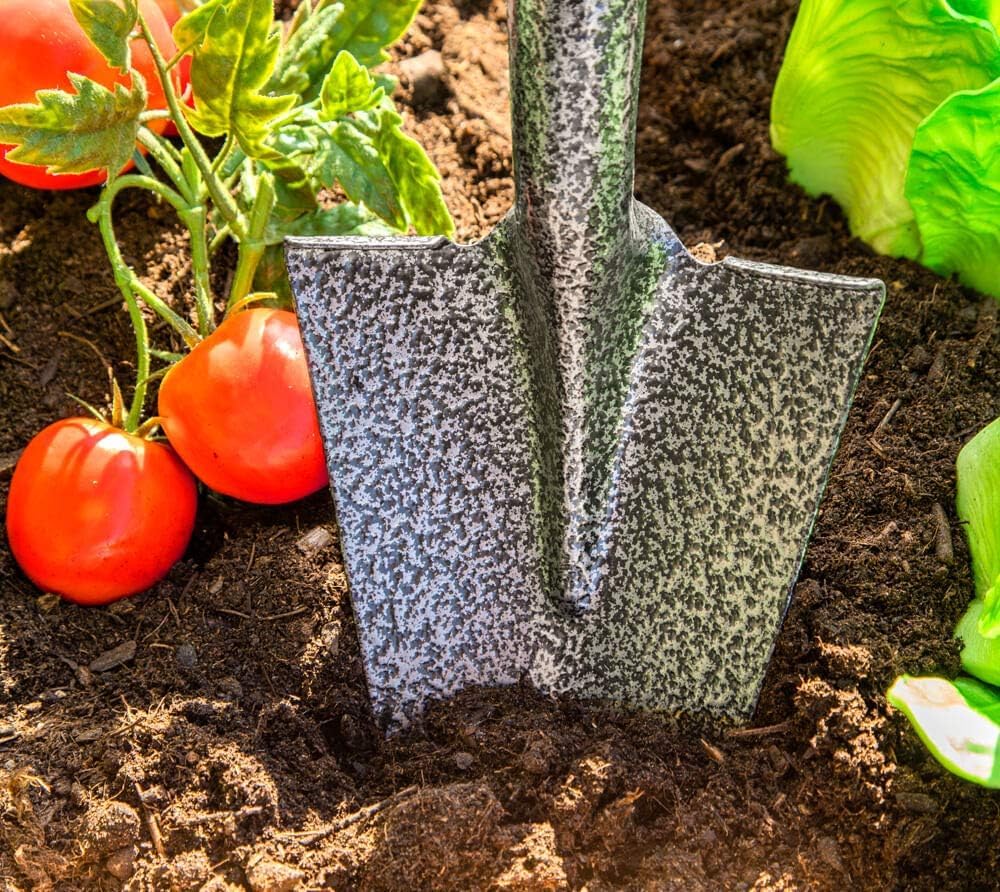 Spear Head Spade SHMini 30" Mini Shovel - Small Shovel with a 6" x 8" Beveled Blade, Steel-Reinforced Fiberglass Short Handle & a Cushioned D-Grip - Small Gardening Spade for Precision Digging