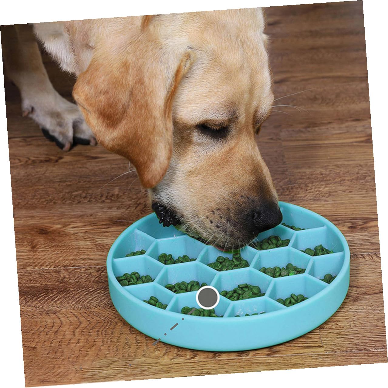 Ciotola Slow Feeder in Silicone Antiscivolo per Cani e Gatti Mangiatoia Anti-ingozzamento con Ventosa Design Compatto e Resistente per Piccoli Animali Colore Blu