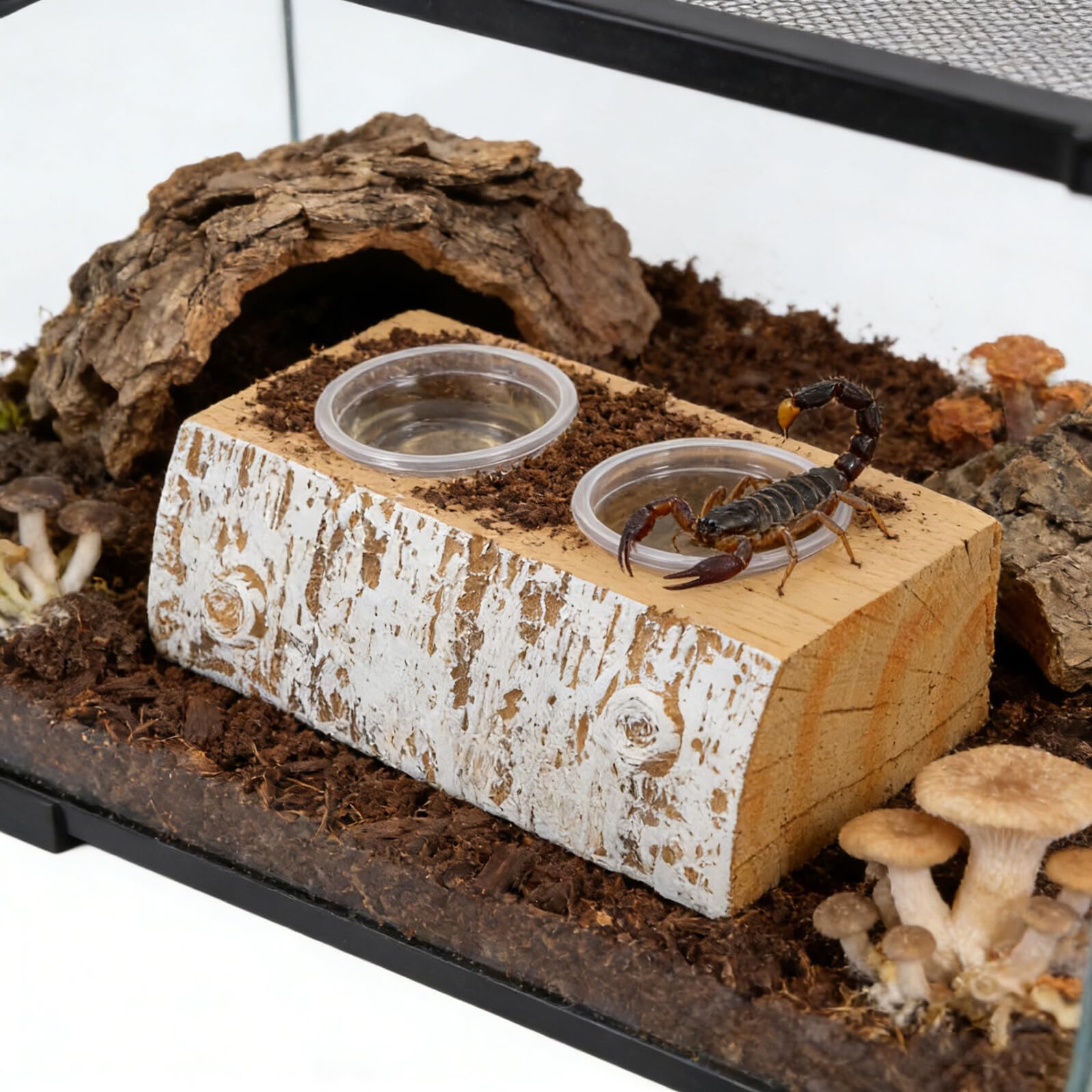 Abaodam Set Ciotole per L’Acqua e Cibo per Gechi Crestati con Base Appesantita, Tazze Doppie per Alimentazione Rettili Piccoli, Accessorio per Sporgenze Terrario Adatto a Giovani e Adulti