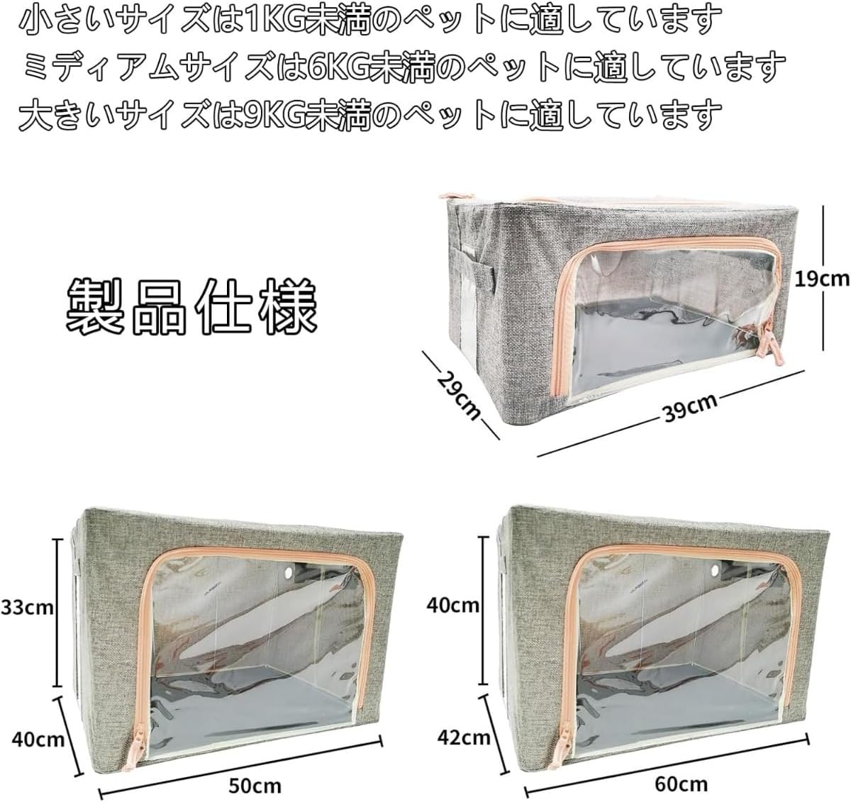 イラン株【REZA産】特選　アガベ　大サイズ　④NOVA イラン株【REZA産】特選 アガベ 大サイズ ④NOVA