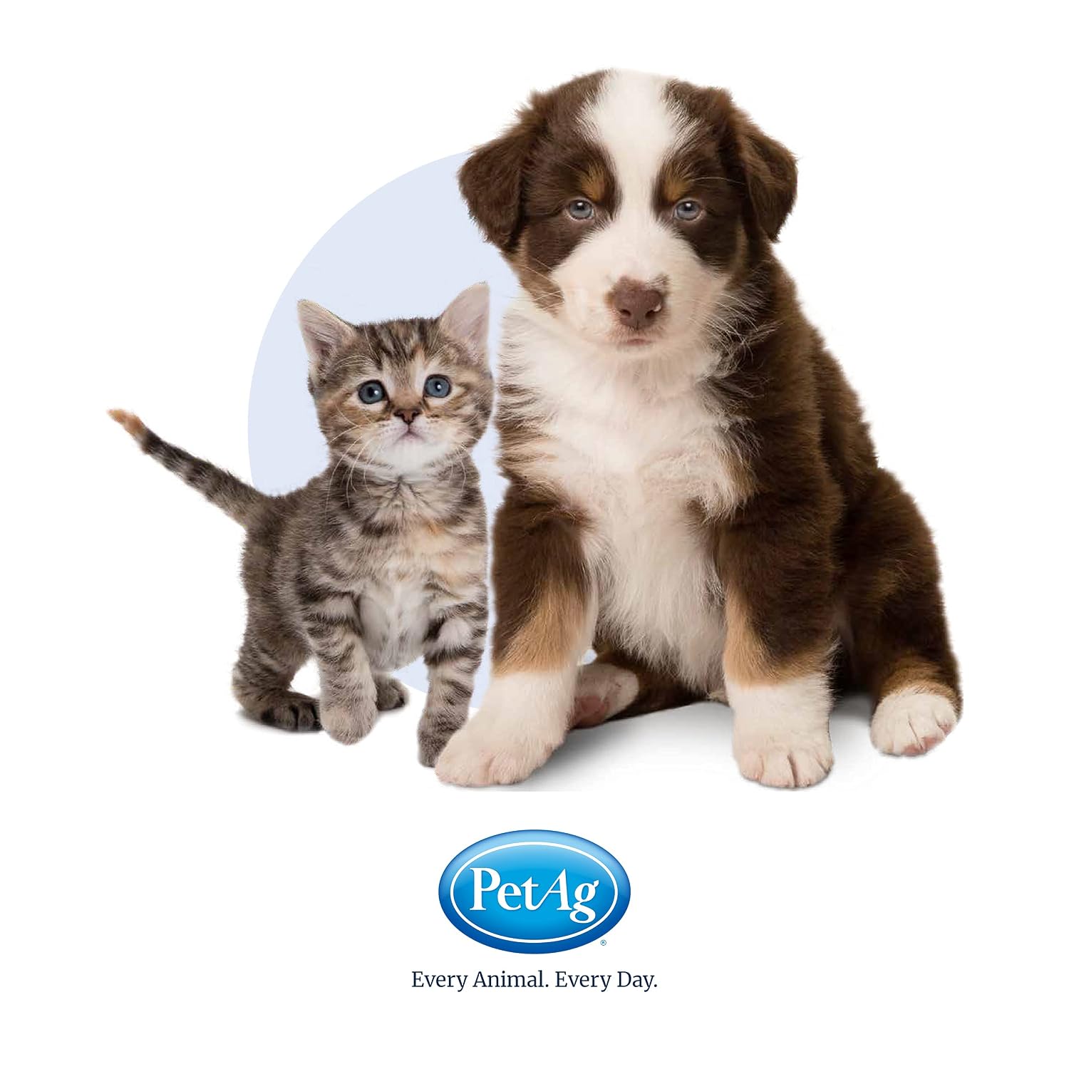 PetAg Fresh 'n Clean Cologne Spray - Keeps Pets Smelling Fresh - 6 oz - 2 Pack - Baby Powder Scent Dog Spray