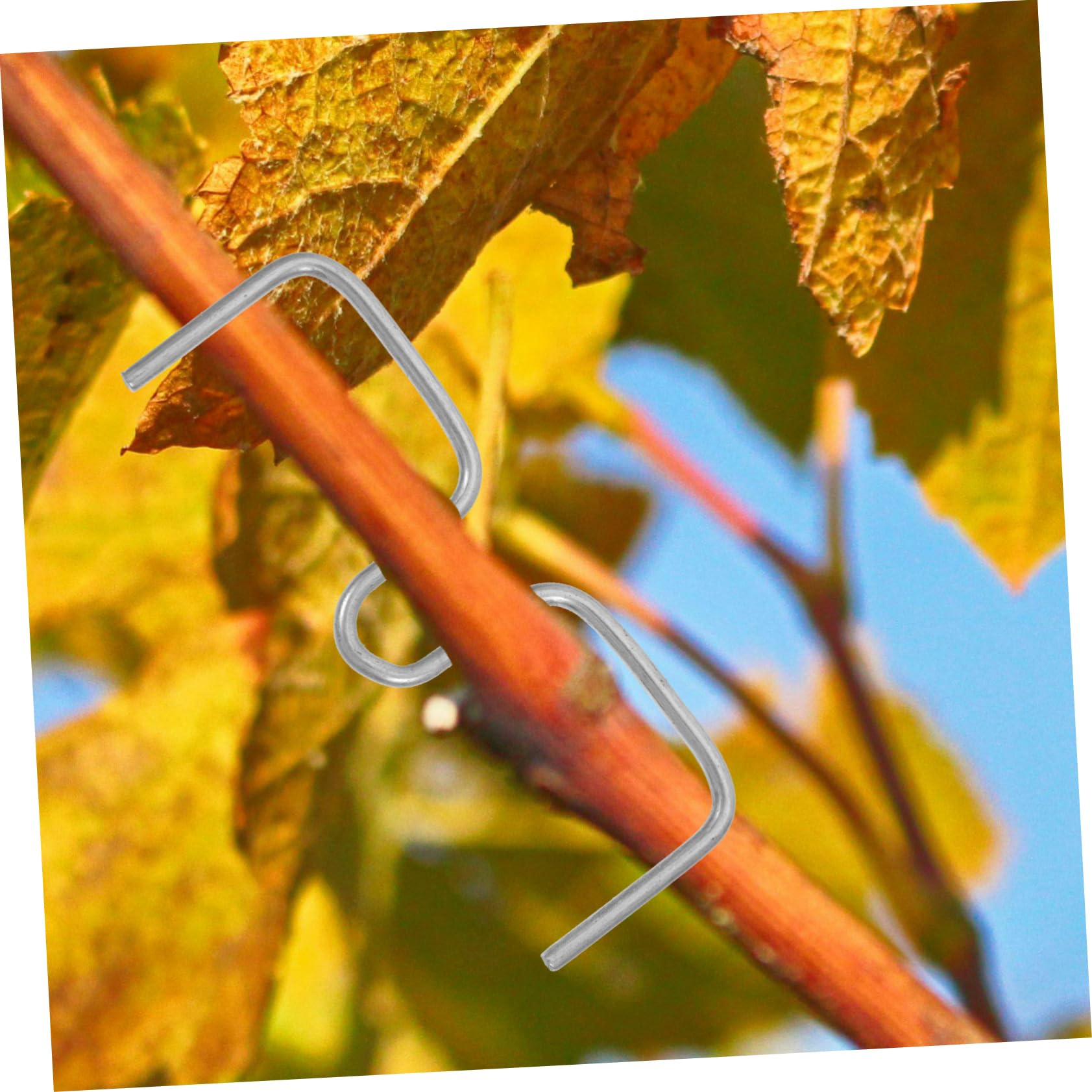 Toyvian 2 Sätze Asthaltern Pflanzenzweig Biegestecker Rostfreie Clips für Formung von Obstbäumen und Pflanzenzweigen für Gartenarbeit und Pflanzenpflege