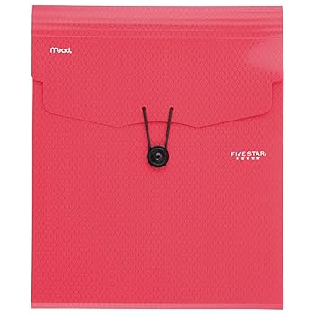 Amazon.com : Five Star Expanding File Folder, 5-Pocket