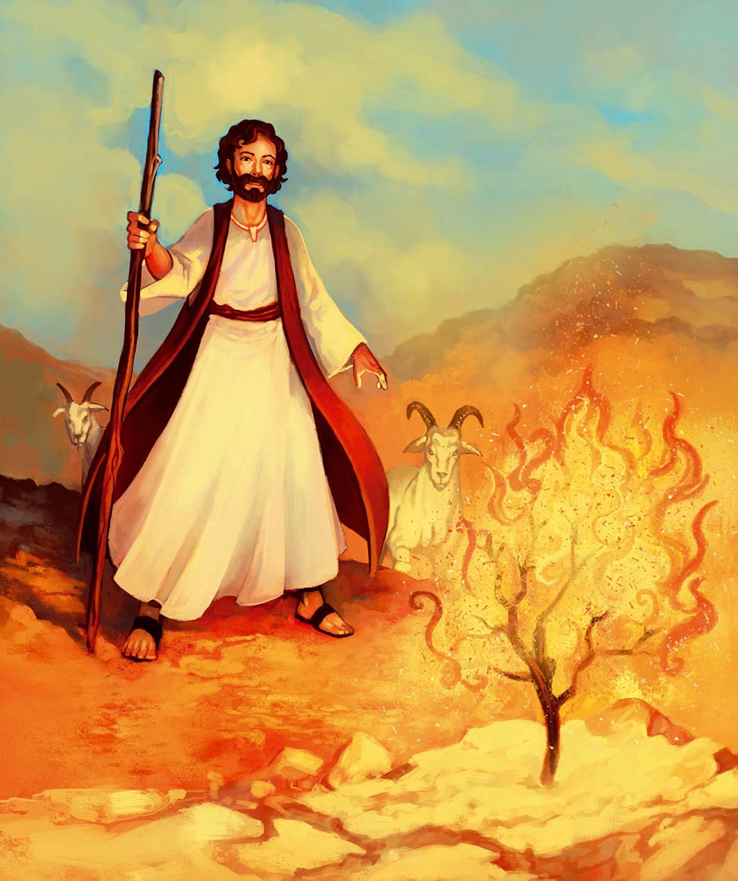 La Bible illustrée (couleur de couverture varié)