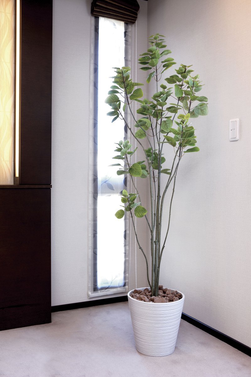 光触媒　人工観葉植物　フェイクグリーン　フィカスブランチツリー1.7 Amazon | 光触媒観葉植物 フィカスブランチツリー1.7 フロア