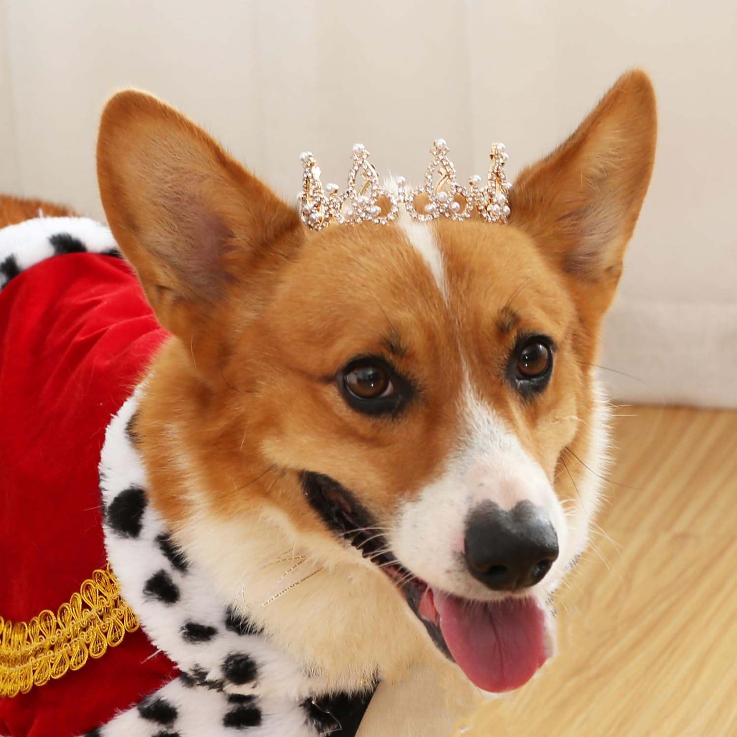 Amazon.com : Lovelyshop Pet Series Gold Plated Royal Rhinestone
