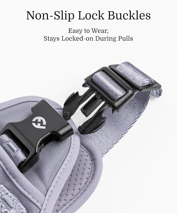 2026 New Edition, Fei & Eve Classic Dog Harness - Quick-Release Buckles | 3-Point No-Pull Control | Heavy-Duty 900D Nylon | Dual Safety Handles | Breathable Mesh | Adjustable Fit | X-Large,Gray by Fei and Eve - Image 6