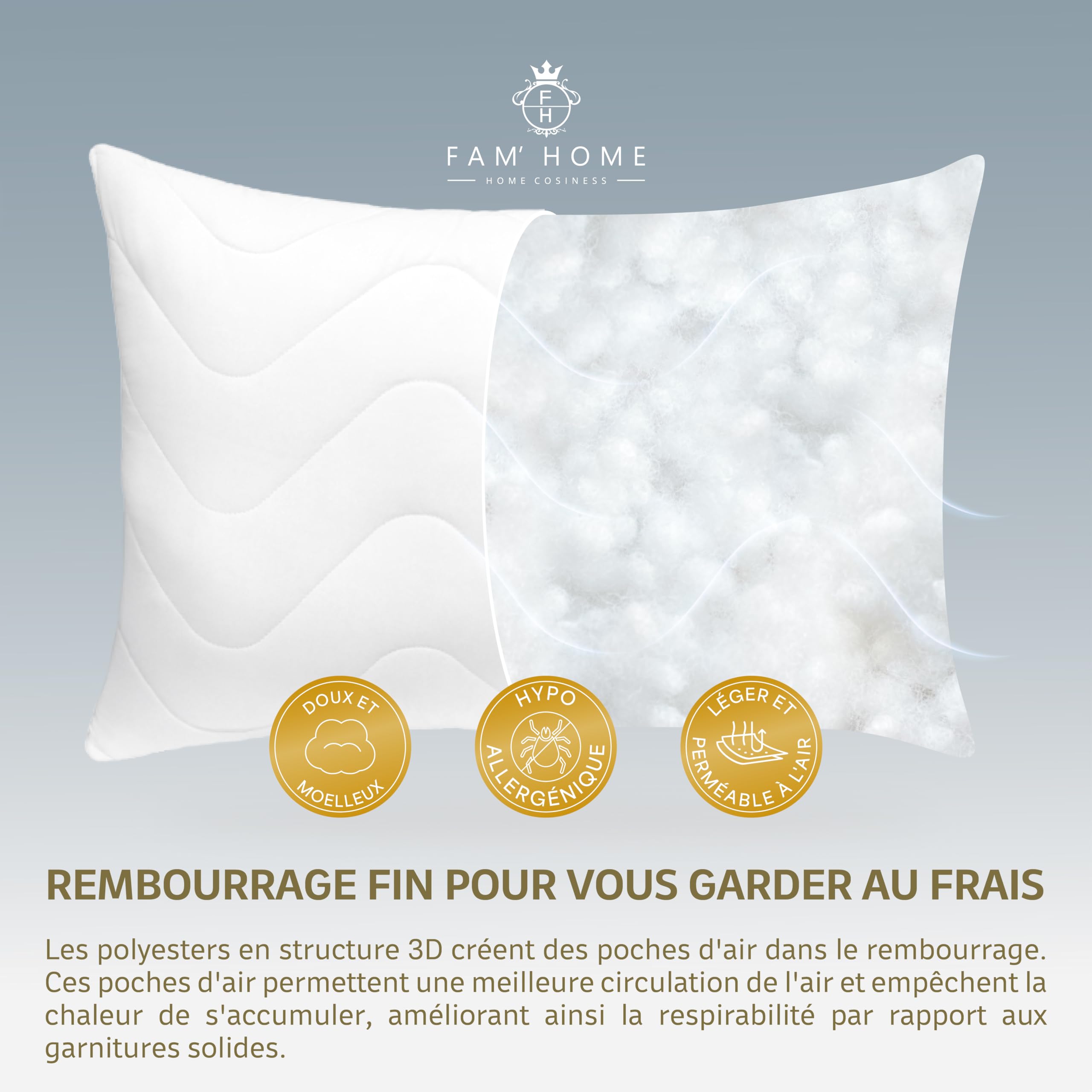 FAM' Home de Luxe Coussin 50x70 Lot de 2 - Garnissage volumétrique (720g) - Blancs ergonomiques - Entretien Facile - Lavable Jusqu’à 95 °C - Moelleux Oreiller 50x70 Hypoallergéniques - Anti acarien