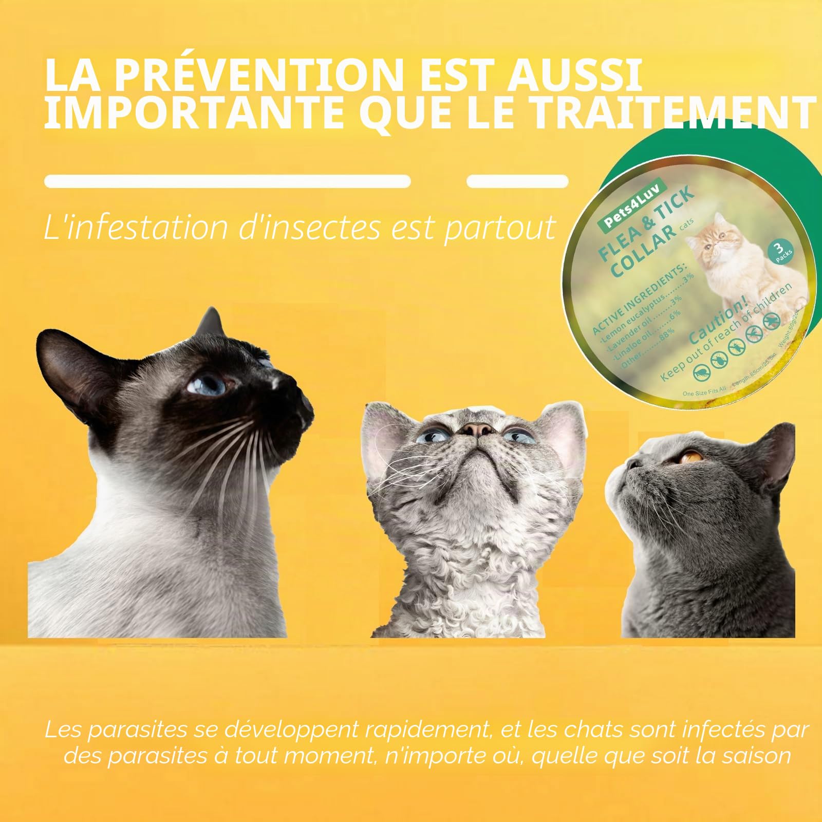 Colliers insecticides pour chats repoussent efficacement les puces, les tiques, les acariens, les moustiques et plus encore, design léger et imperméable, protection jusqu'à 24 mois, lot de 3
