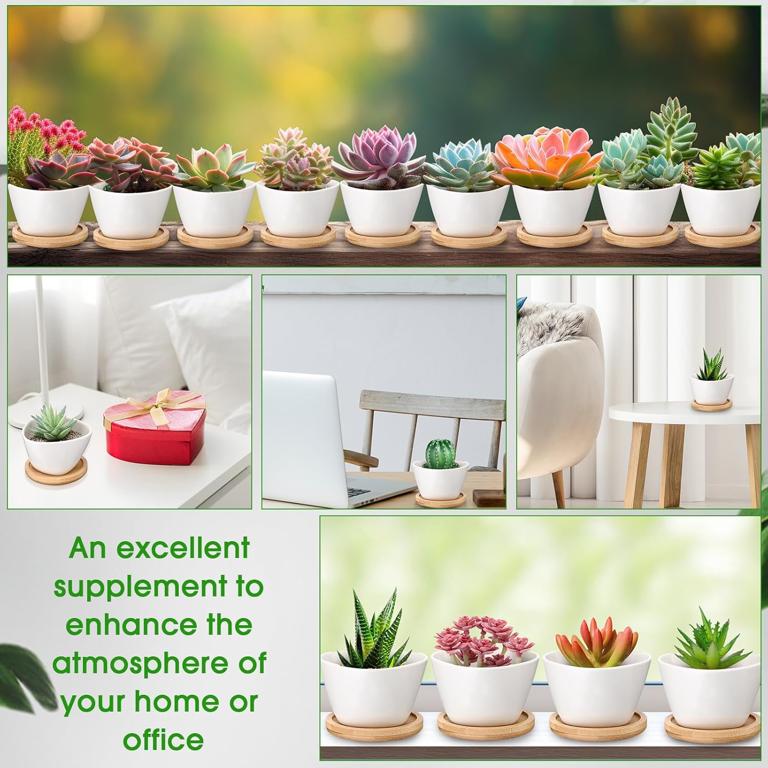 Domensi 12 Pack Succulent Planter Pots 3 Inch Small Plant Pots Mini Ceramic Succulent Planter Holder with Drainage Holes and Bamboo Saucers (White)
