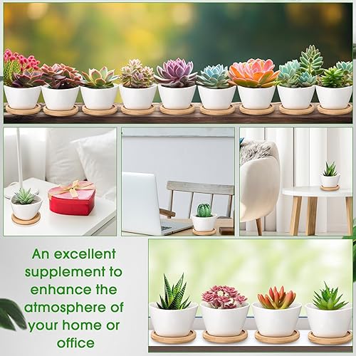 Miniatura 9 de Domensi Macetas para suculentas a granel, 24 piezas, cerámica blanca, adecuadas para decoración de interiores y exteriores, diseño de drenaje, ideal