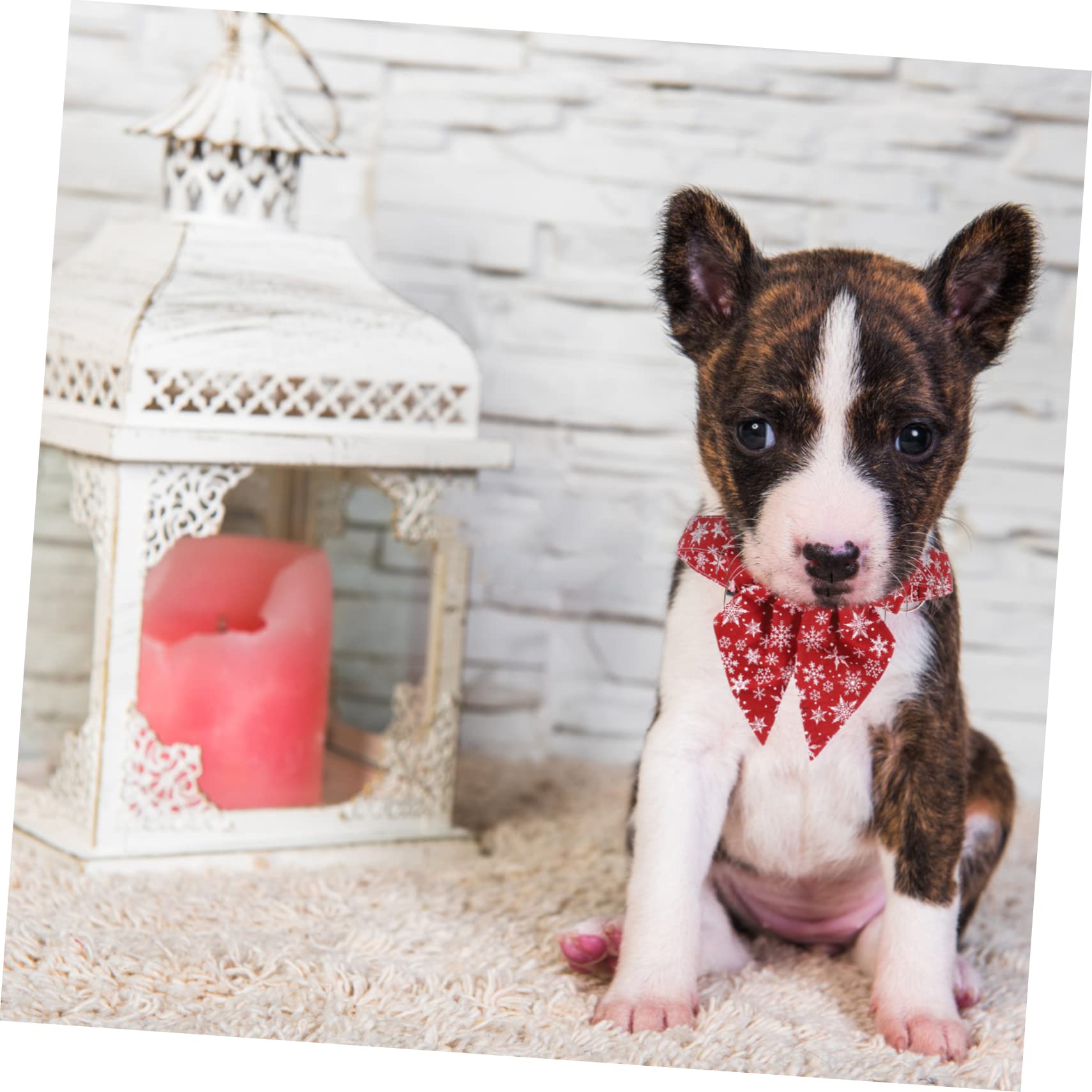 BESPORTBLE Collier pour Chat avec Nœud Décoratif Accessoire Noël pour Animaux Ajustable Léger