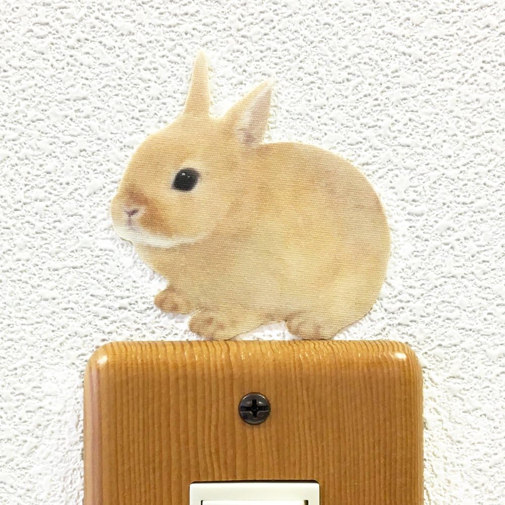 Amazon Co Jp ウォールステッカー Animal Life Color うさぎ ネザーランドドワーフ オレンジ ホーム キッチン