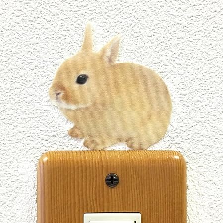 Amazon Co Jp ウォールステッカー Animal Life Color うさぎ ネザーランドドワーフ オレンジ Diy 工具 ガーデン