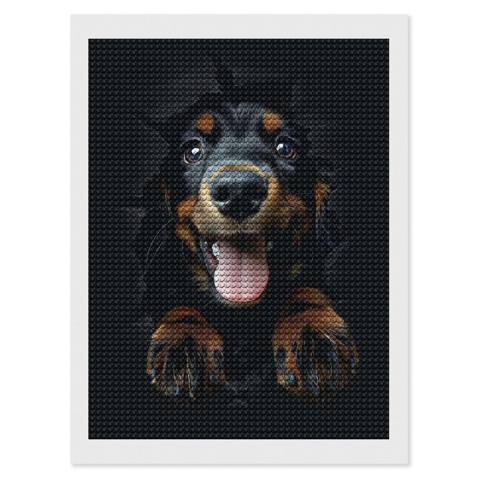Junmoney Gordon Setter Diamond Painting Canvas Set 12"x16", Mindful Craft Activity, Nice Detail and Sparkle, Farmhouse Decor, Birthday Gift