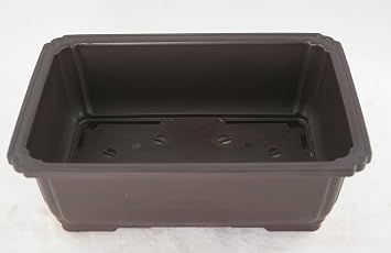 Rectangular Dark Brown Plastic Bonsai Training Pot, Cactus & Succulent Planter - Outside Dimensions: 10.5x 7.75x 3.5 (A-1)
