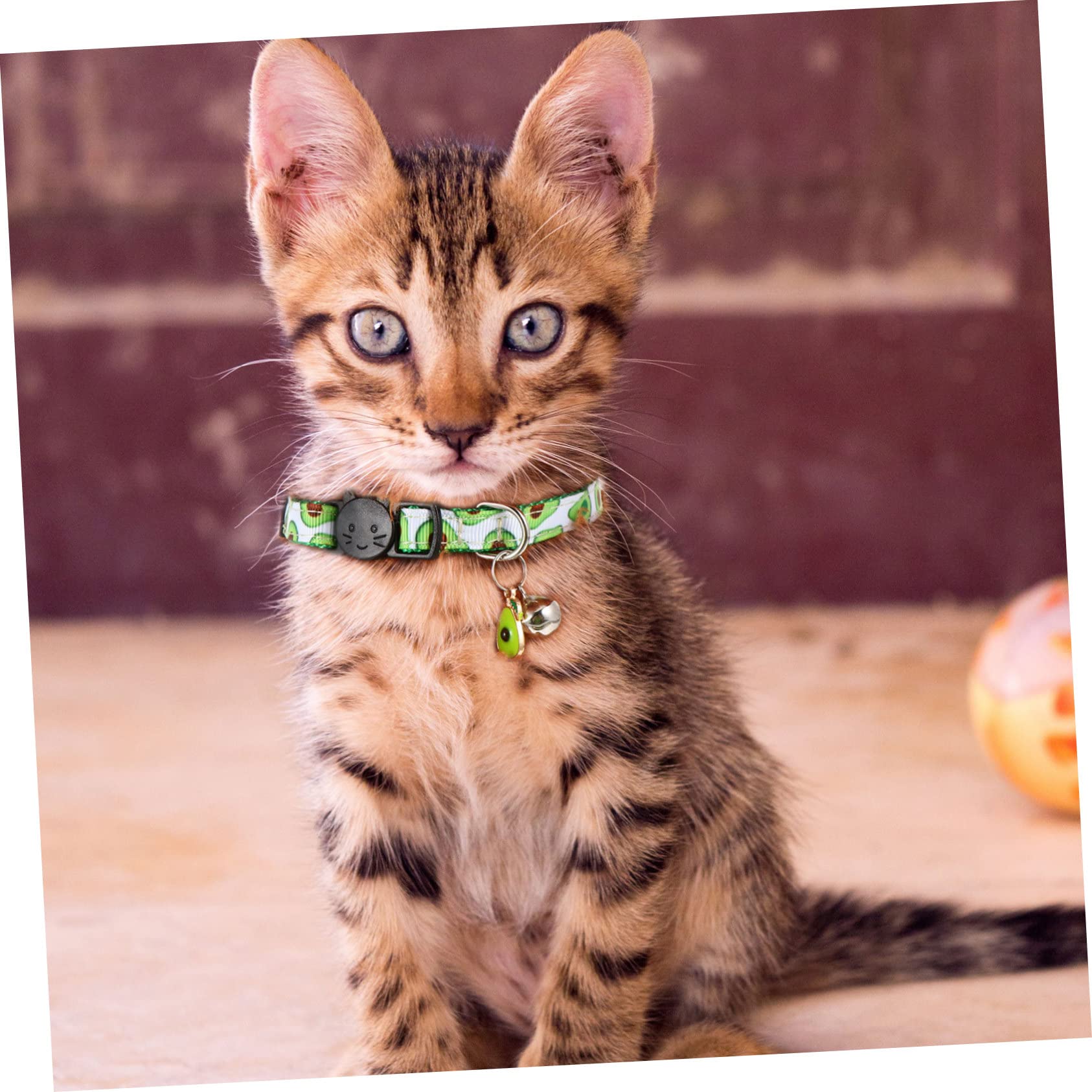 Kisangel 12stücke Verstellbares Katzenhalsband Mit Glocke Farbenfrohes Design Mit Avocado Ananas Wassermelone Und Kirsche Sicher Und Bequem Für Haustiere Für Täglichen Gebrauch
