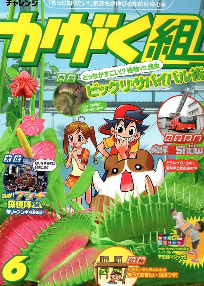 Amazon.co.jp: チャレンジかがく組6 : Japanese Books