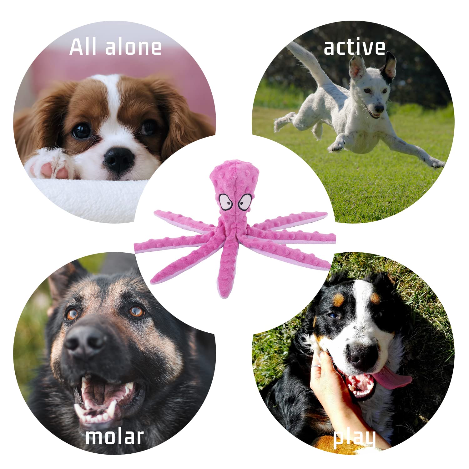 Kauwspeelgoed - Hondenspeelgoed kopen? - Pets Place