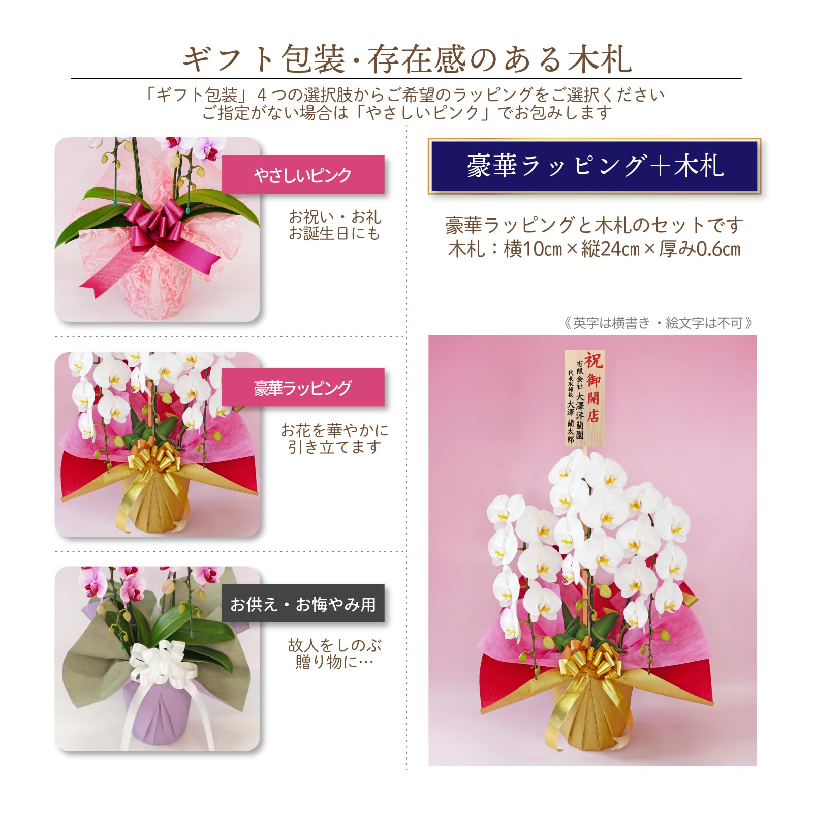Amazon｜ふじみ野ラン園 大輪胡蝶蘭3本立ち 生花 プレゼント 開店祝い