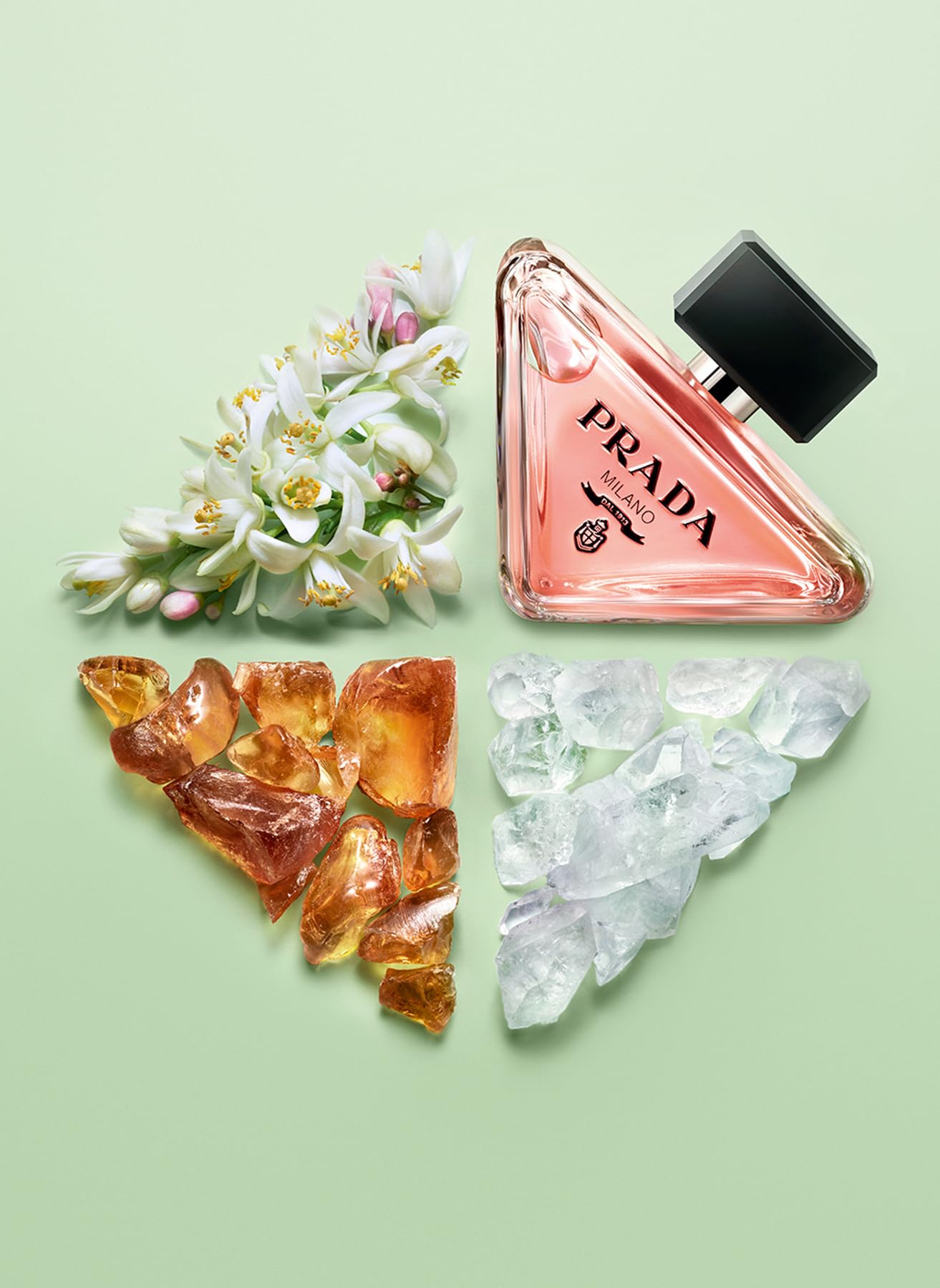 Amazon.com : Paradoxe Virtual Flower by Prada for Women - 1.6 oz