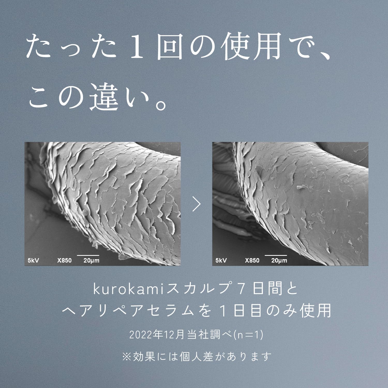 Amazon | haru（ハル）ヘアリペアセラム 50ml（約3ヶ月分）髪の補修