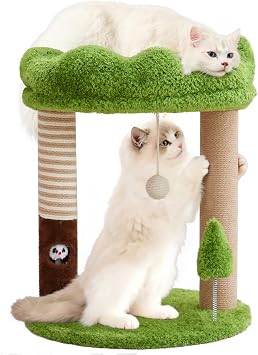 WOOCHPET Small Cat Tree with Perch Cat Bed and Removable Cover 23 inch Tall Cat Tower with 2 Scratching Sisal Scratching Posts and Cat Toys for Kittens and Adult CatsGreen