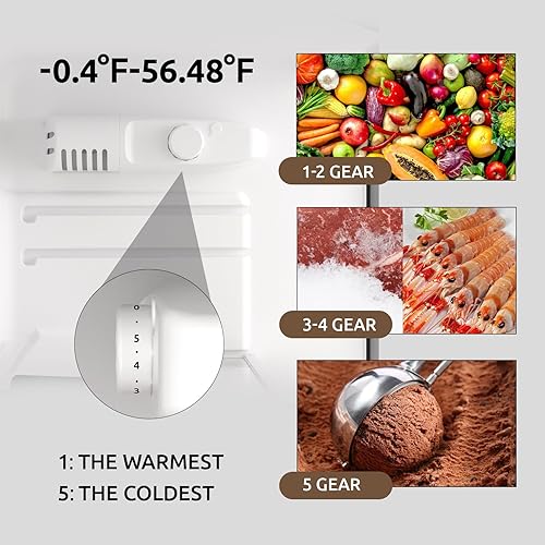 Miniatura 4 de BANGSON Mini refrigerador con congelador, 3.2 pies cúbicos, bajo ruido, ahorro de energía, 5 ajustes de temperatura ajustable, mini refrigerador de