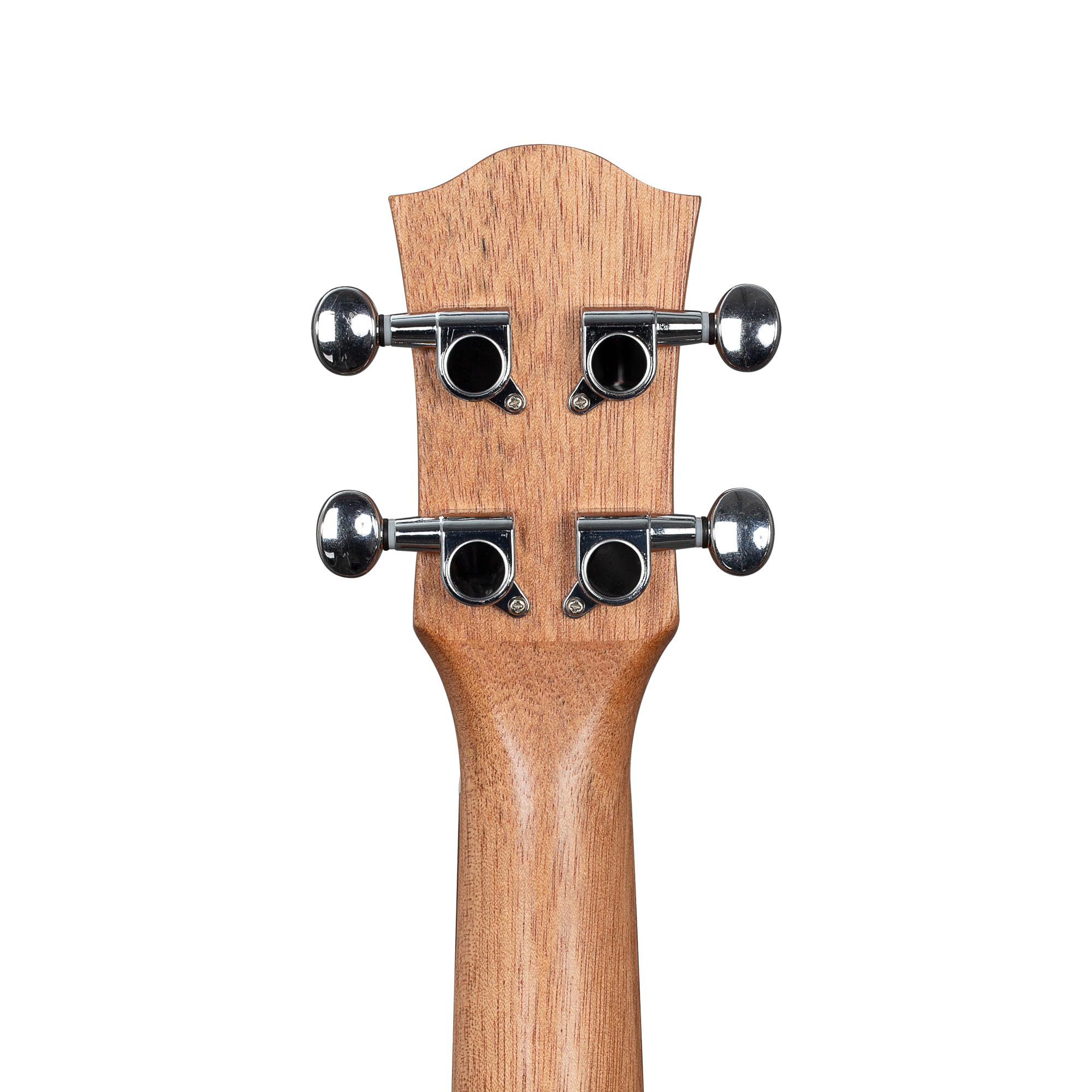 Tenor Ukulele Art Series Urban