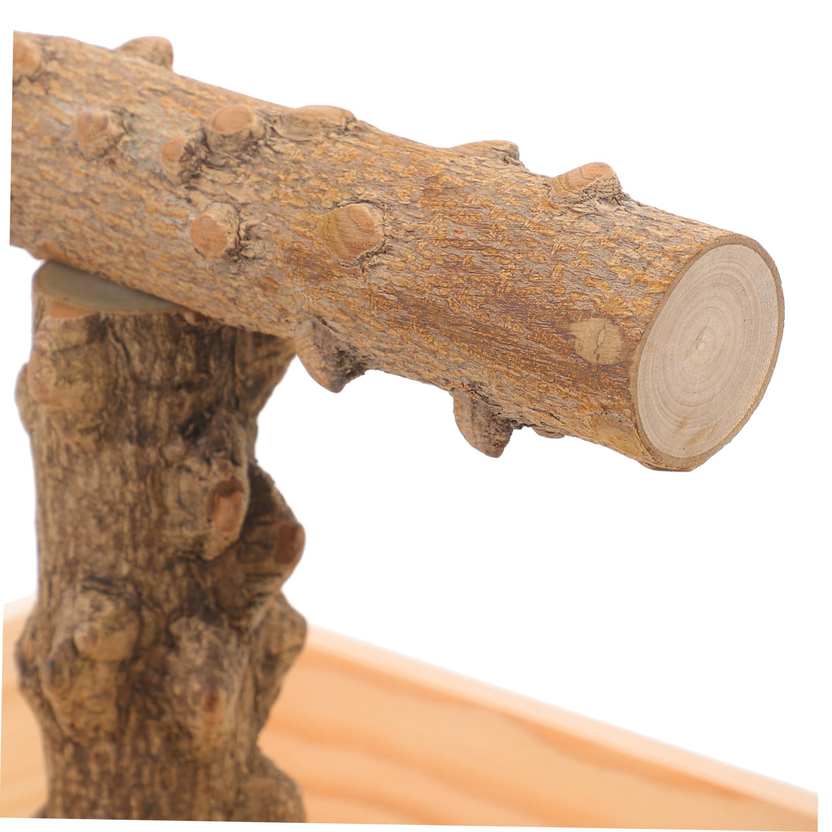 Tragbarer Vogelkäfig Stand aus Natürlichem Holz Papageien Wellensittich Sitzstange mit Kauspielzeug für Training und Beschäftigung von Nymphensittichen und Kleinen Vögeln