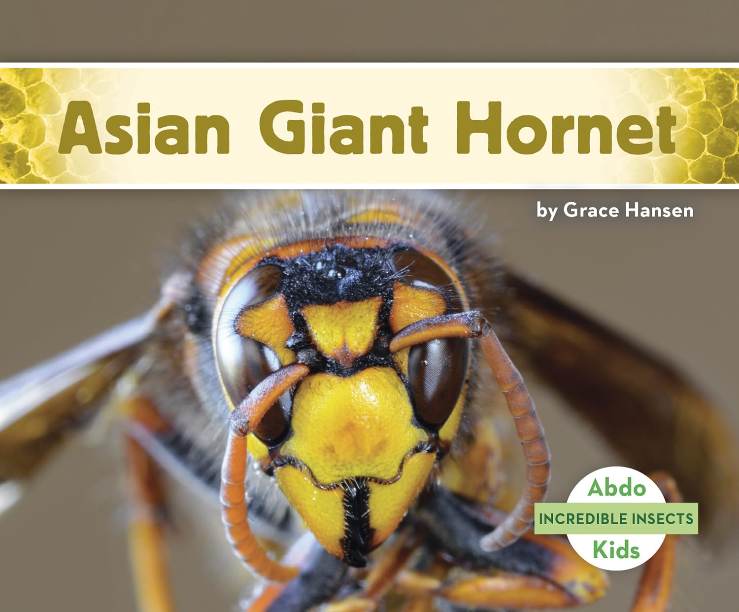 Asian Giant Hornet Paperback – Import, 1 August 2021