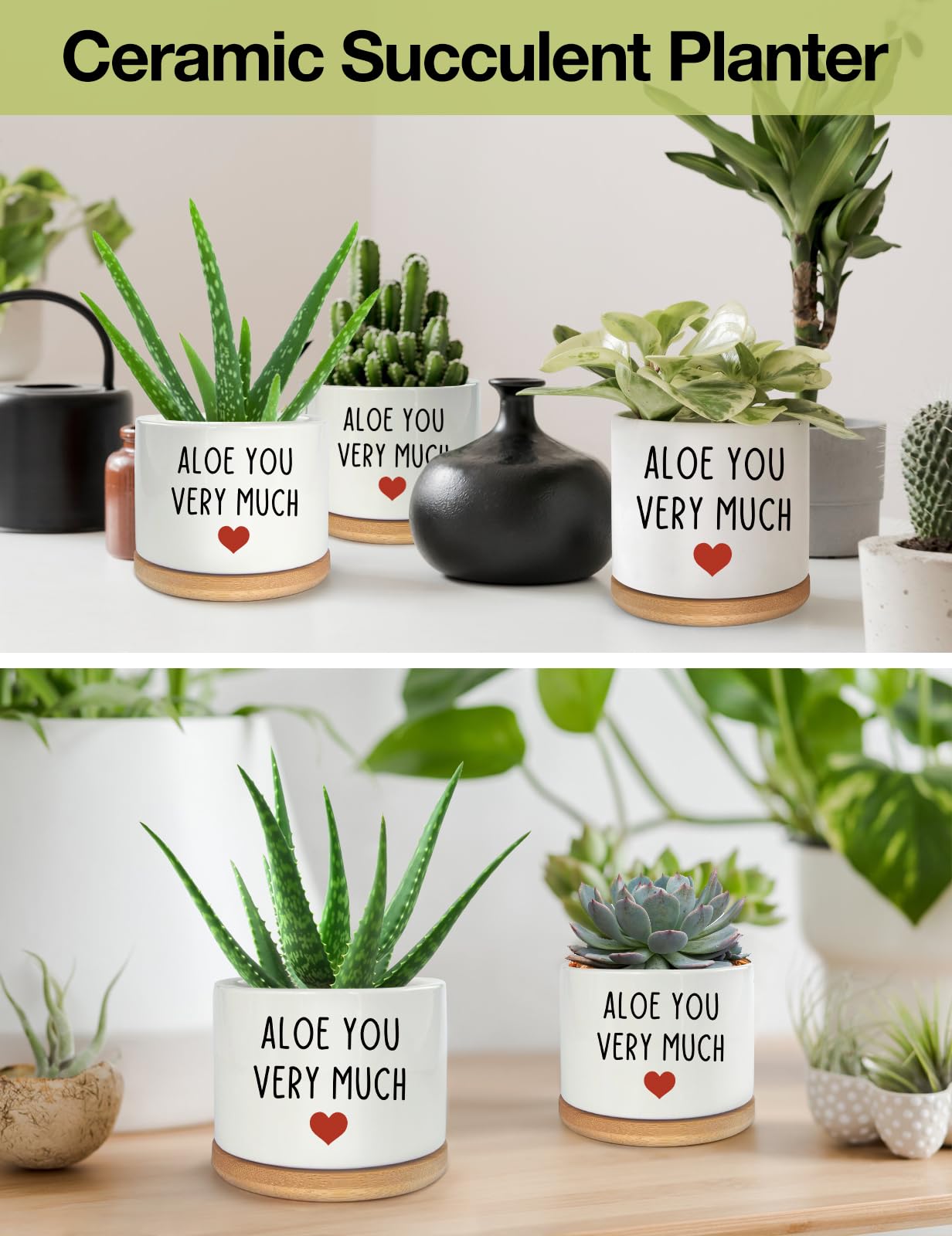 You Very Much- Maceta de cerámica blanca grabada para suculentas y cactus de aloe, divertidas macetas de interior para el hogar, oficina, alféizar de ventana, regalo de 3.8 pulgadas