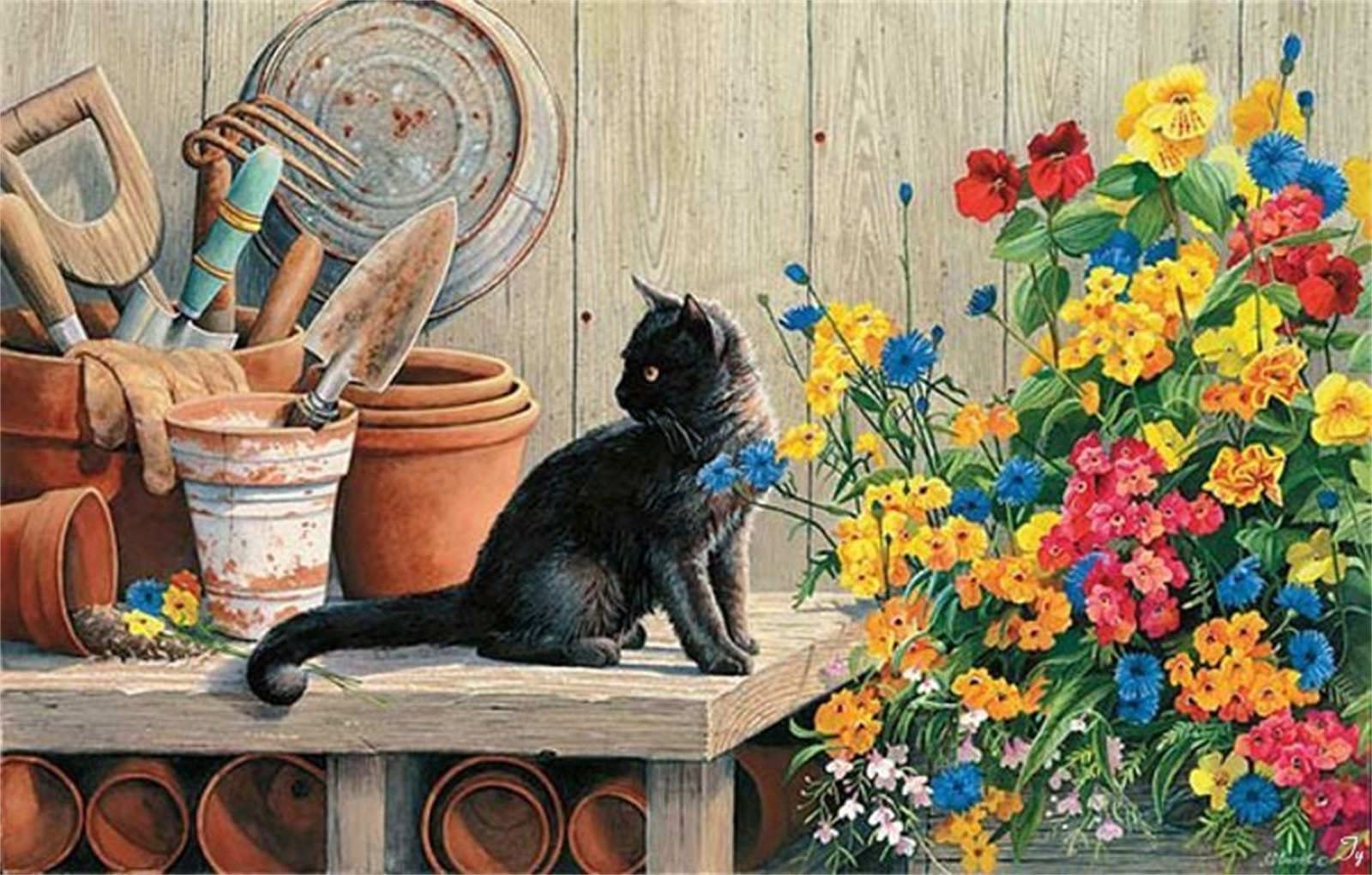 Zestaw do malowania według numerów, dla dorosłych, 60 x 75 cm, zestaw do malowania na płótnie według numerów, dla dzieci i dorosłych, z pędzlami i farbami akrylowymi, do dekoracji wnętrz, czarne kwiaty kota, 60 x 76 cm, oprawione