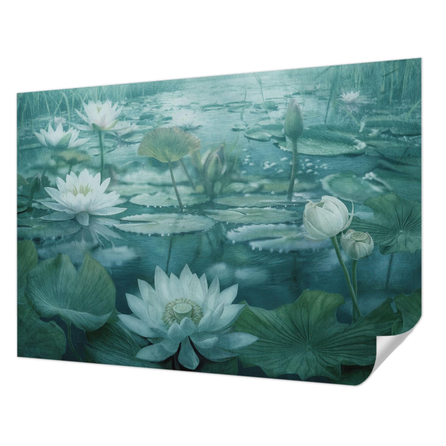 Papier peint adhésif haute qualité fleurs aquatiques 312x219 cm