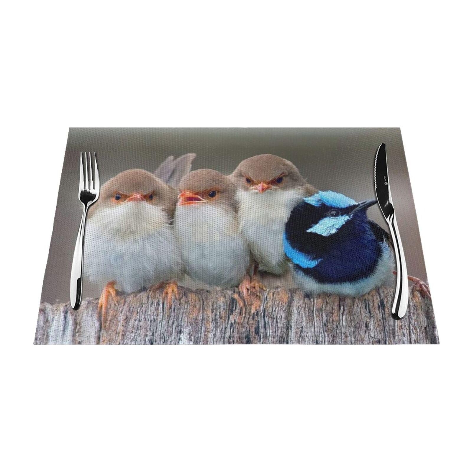 PVC Placemat Set of 6 PCS, 45x30 CM, Four Birds Printed Non-Slip Heat Resistant Place Mats for Kitchen Dining Table Indoor Outdoor