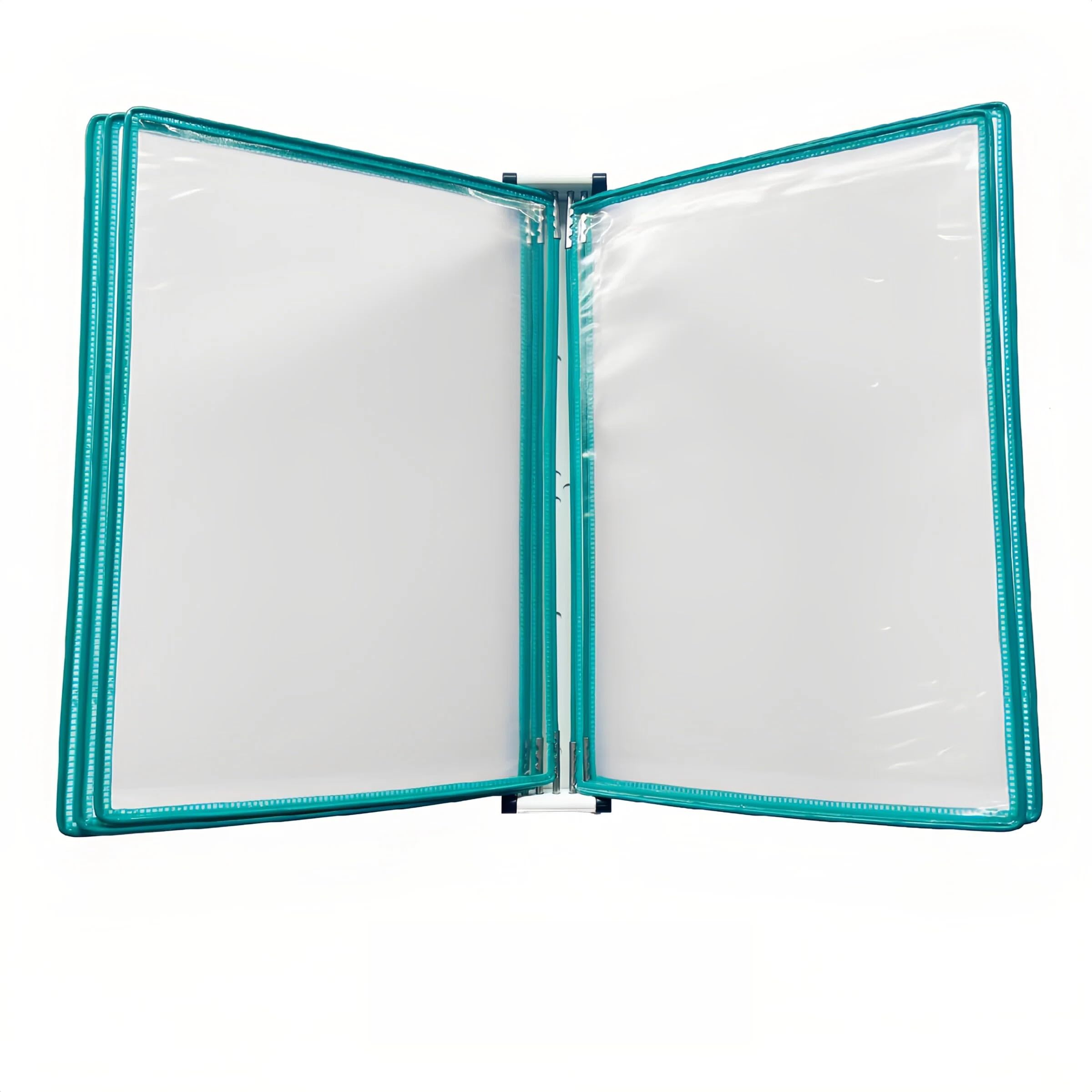 – Wall Mounted Document File Holder, Hanging Wall Organiser for Storing A4 Documents, 5 Transparent Display Panels, Green