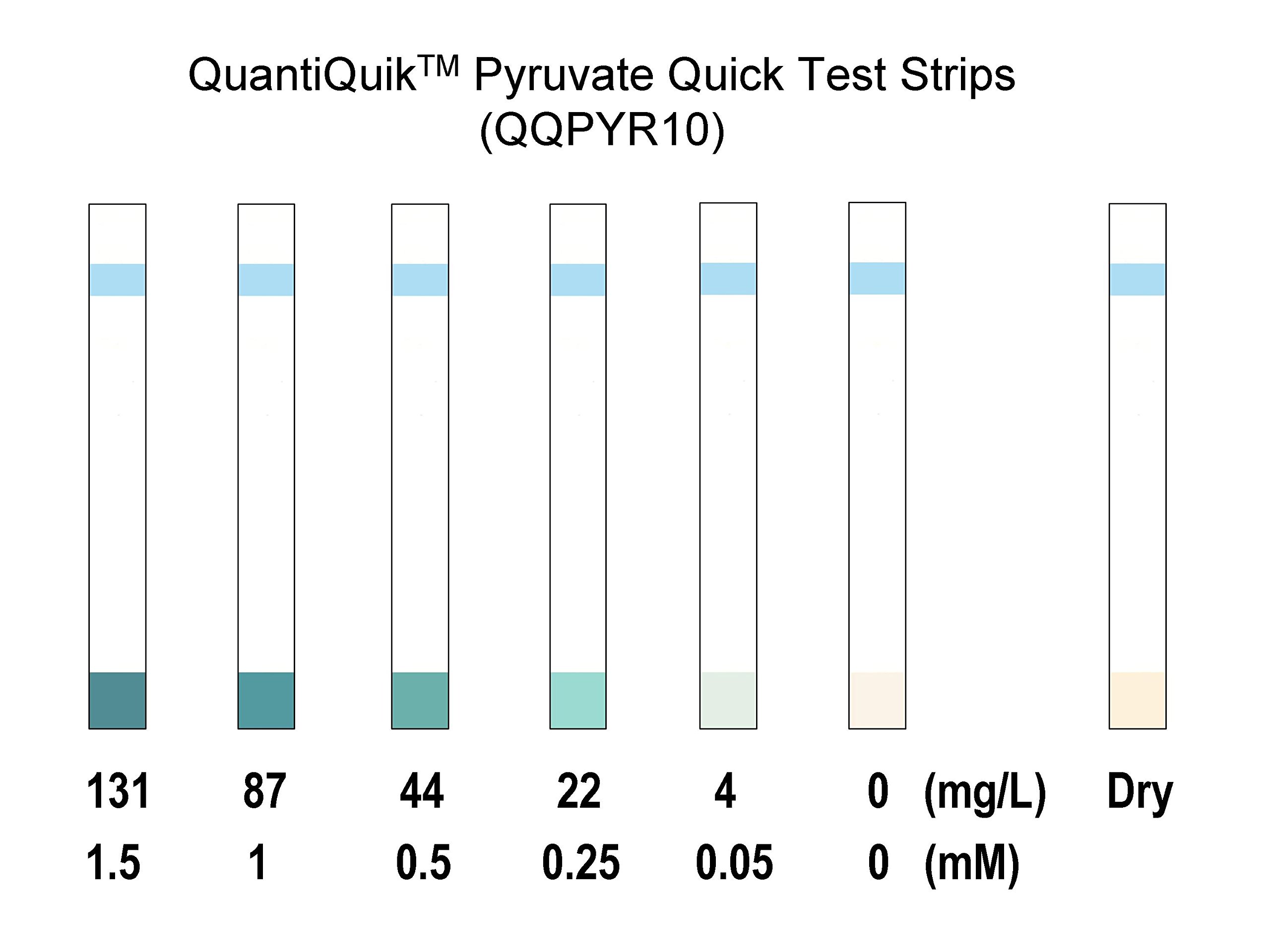 QuantiQuik Pyruvate Quick Test Strips (10 Strips)