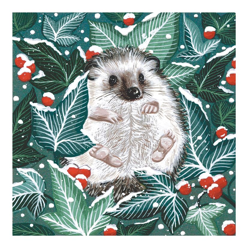 Marie Curie Hedgehog Christmas Greeting Cards 14x14cm Pack of 10 with Envelopes 100% FSC Board Made in UK