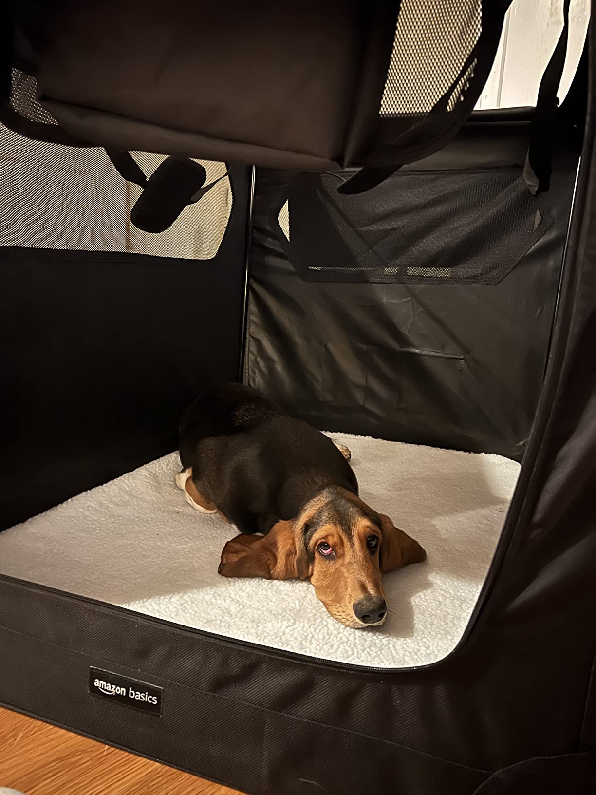 9/mo Finance Amazon Basics Folding Portable Soft Pet Dog Crate