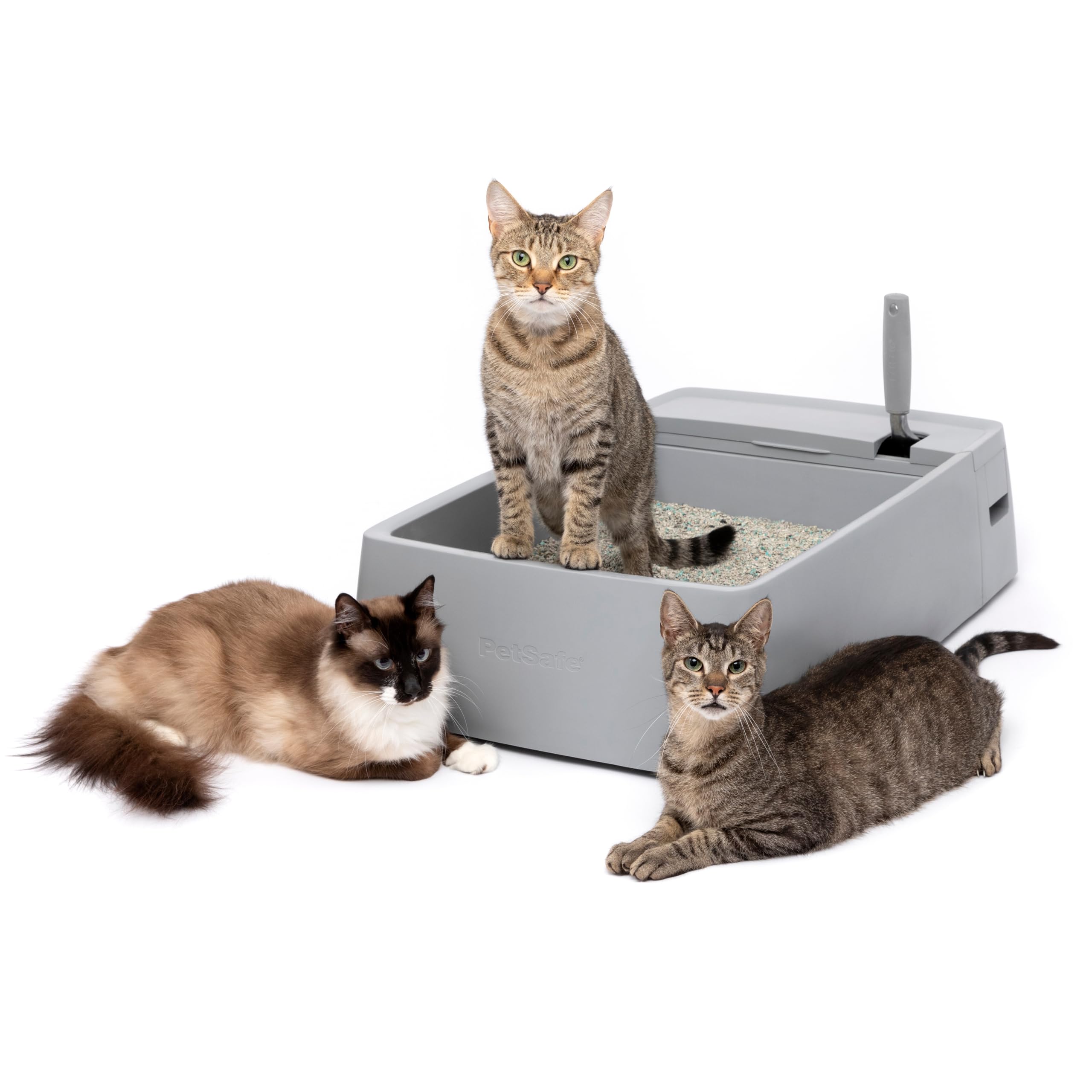 PetSafe Multi-Cat Litter Box - Hygienic Maintenance with High Litter Capacity, Integrated Scoop Holder & Rubber-Sealed Separate Waste Compartment -