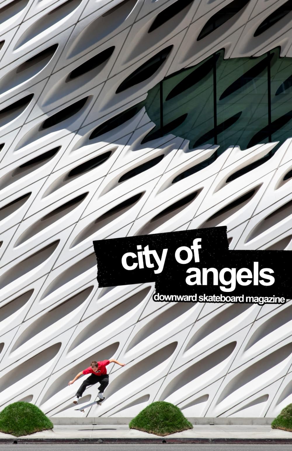 City of Angels: A Benefit for the LA Fires (Downward Skateboard Magazine)