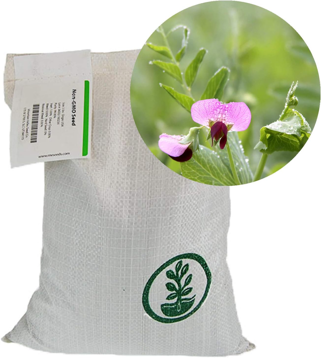 Austrian Field Pea Cover Crop Seeds - 25 Lbs ~45,000 Seeds - Nitrogen Fixing Viny Legume Cover Crop