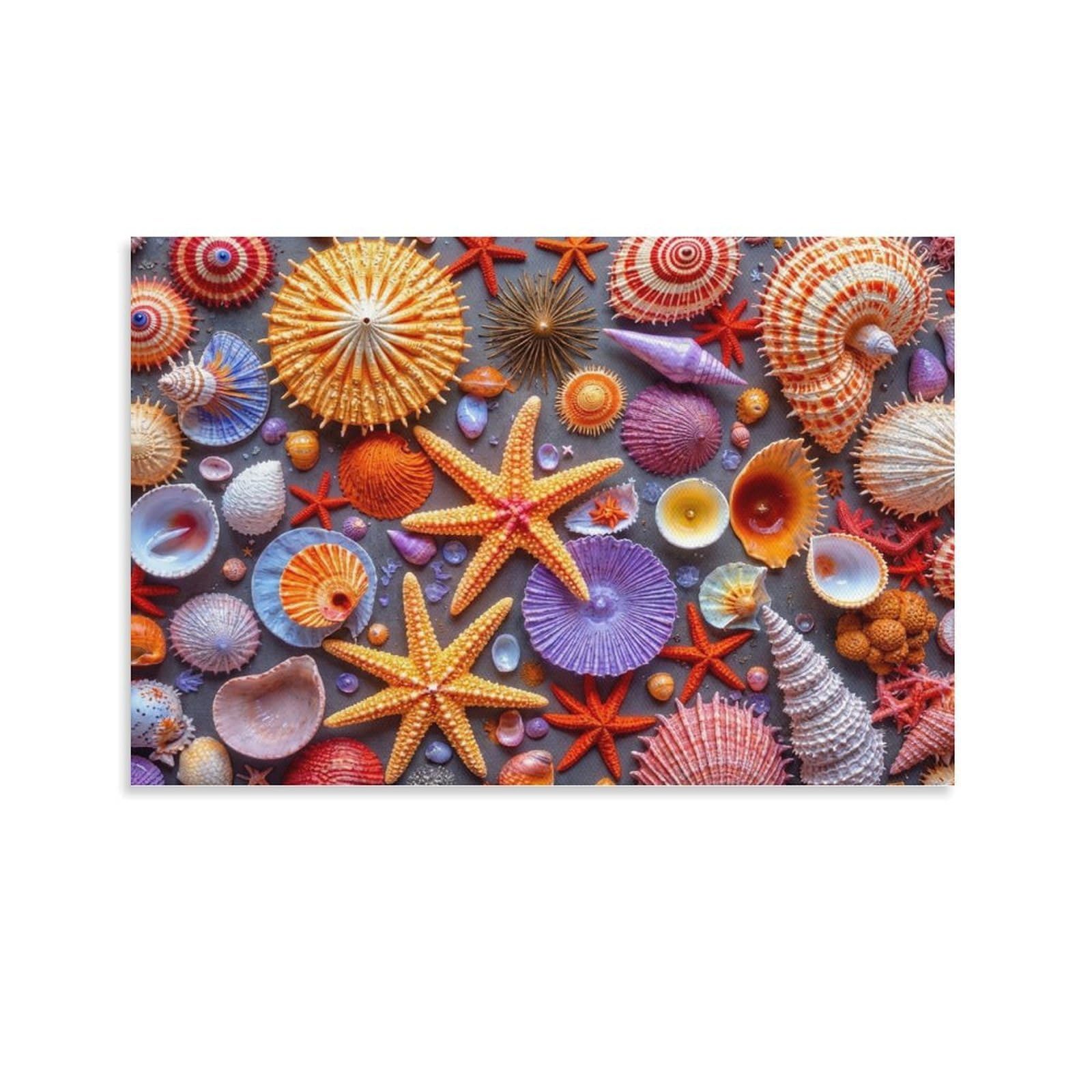 CPLVKWRQJ Sea Shells Collection Single Piece Colorful Seashells And Starfish Pile Canvas Wall Decor - Office Canvas Print Fade Resistant Wall Focal Art Decor 20x30inch(50x75cm)