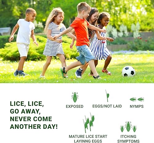 Miniatura 6 de Mediker Champú de tratamiento antipiojos con neem y coco para piojos y huevos  Alivia la picazón de picaduras de piojos y previene la reinfestación