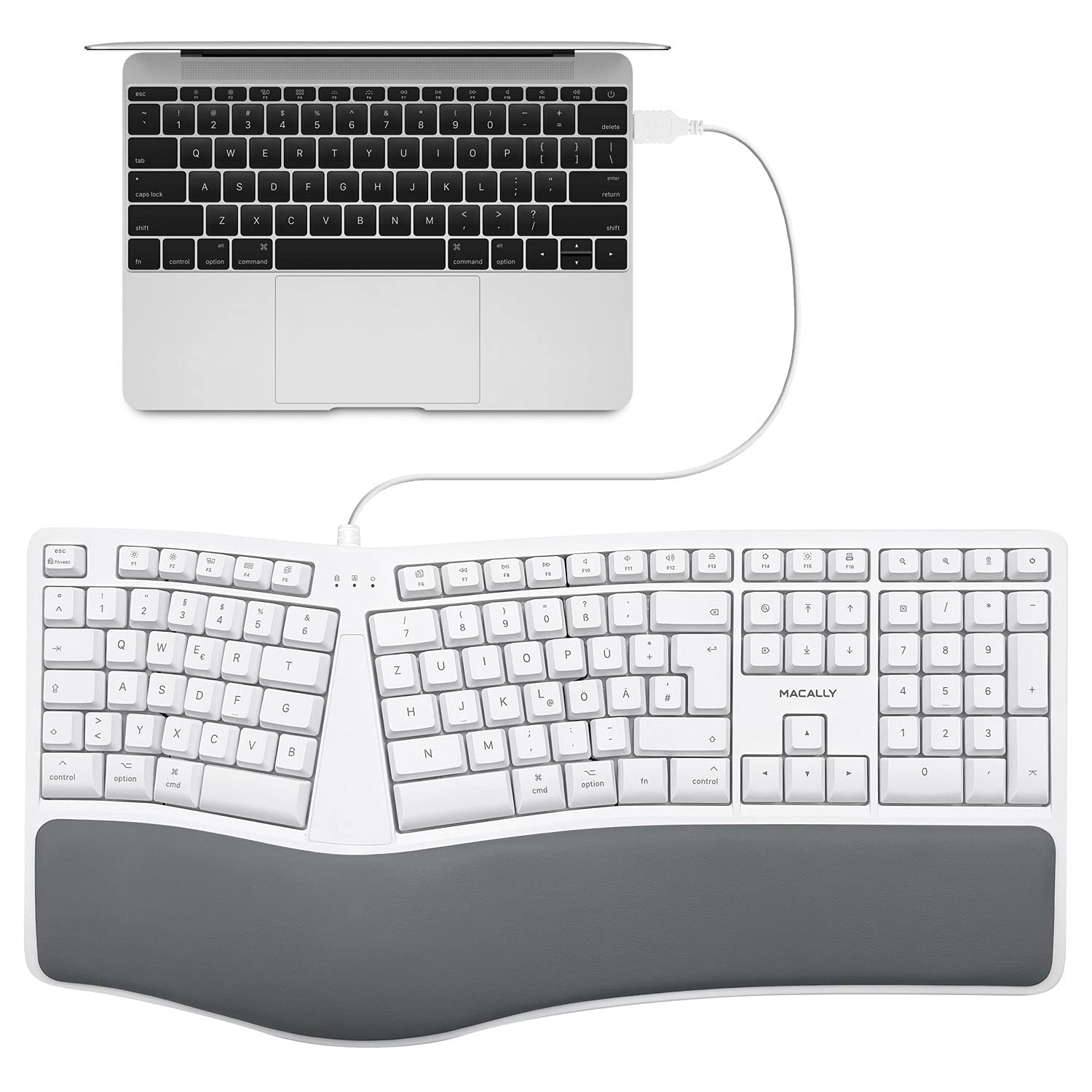 Macally MERGOKEY-DE, Tastiera ergonomica USB-A cablata con poggiapolsi, Layout QWERTZ Tedesco