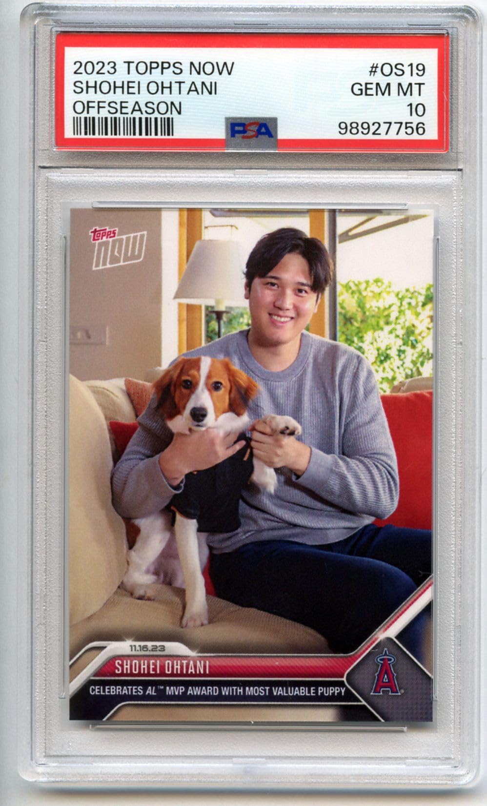Amazon.co.jp: ［PSA鑑定カード］ PSA10 GEM MINT 大谷翔平 2023
