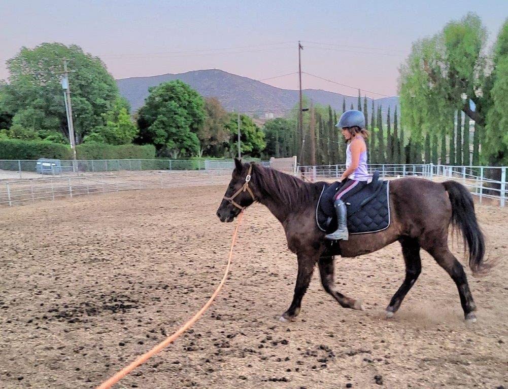 Mustang Western Soft Ride Saddle customer photo
