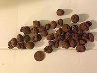 Review Image by Melissa Patrick Melissa Patrick